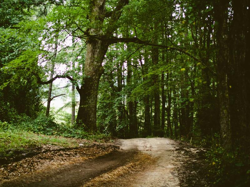 sudoku chain solving screenshot 5