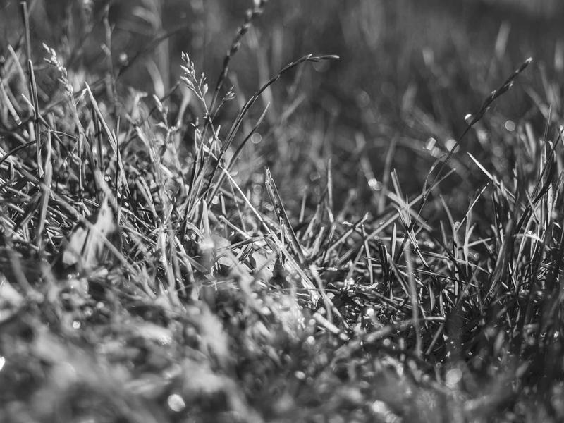 sudoku chain solving